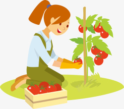 摘番茄的女孩矢量图素材