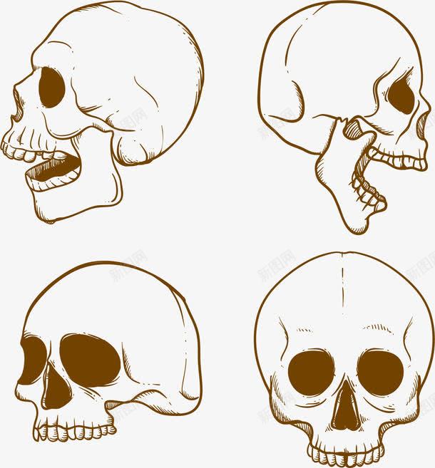 骷髅不同角度png免抠素材_88icon https://88icon.com 医学 头骨 矢量素材 视角 骷髅