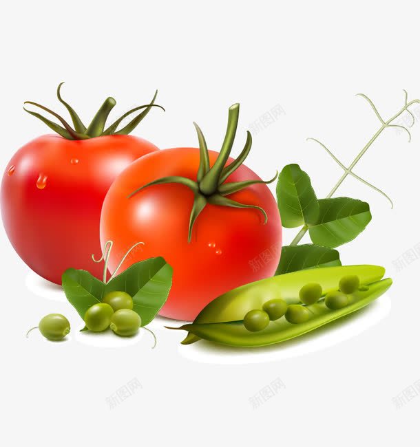 番茄豆角png免抠素材_88icon https://88icon.com 卡通 蔬菜水果