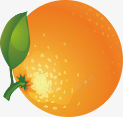 橘子手绘水果矢量图素材