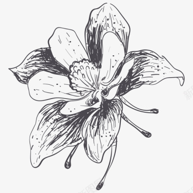 卡通手绘黑色的花朵图标图标