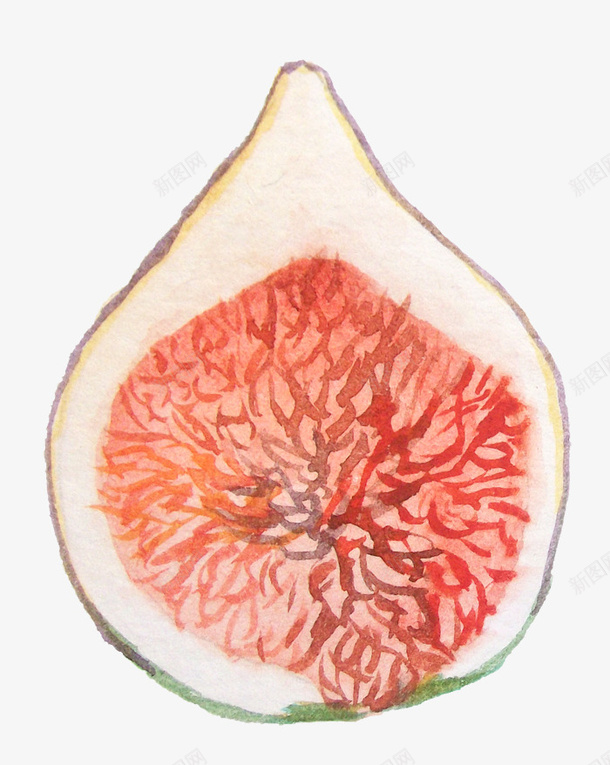 水彩画png免抠素材_88icon https://88icon.com 唯美 小清新 手绘 水彩画 花卉