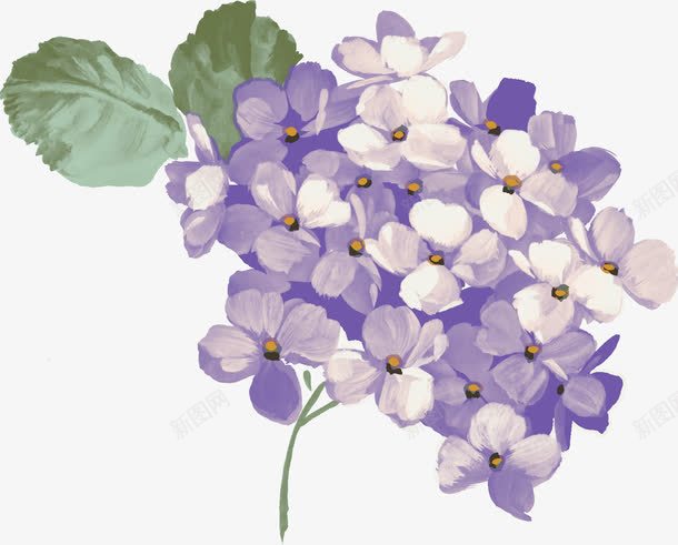 手绘紫色唯美花簇花朵png免抠素材_88icon https://88icon.com 紫色 花朵 花簇