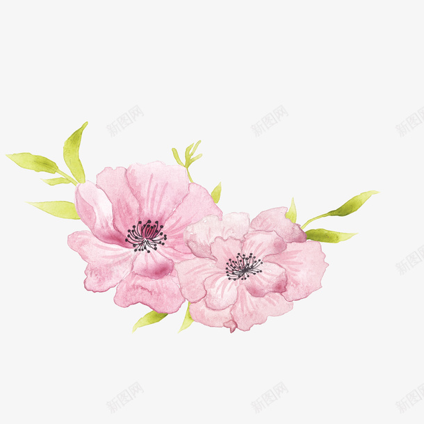 两朵花朵png免抠素材_88icon https://88icon.com png图形 png装饰 粉色 花卉 花朵 装饰