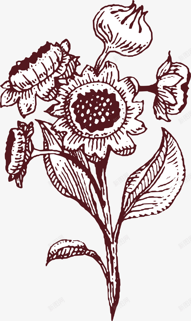 黑色线条植物png免抠素材_88icon https://88icon.com 向日葵 植物 线条 美丽 装饰图案 黑色