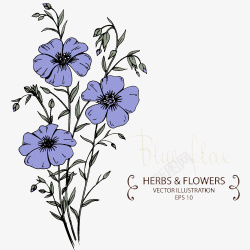 紫蓝色花朵矢量图素材