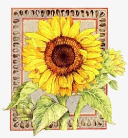 手绘复古向日葵花朵素材