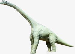 侏罗纪恐龙素材