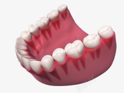 手绘牙齿牙床素材