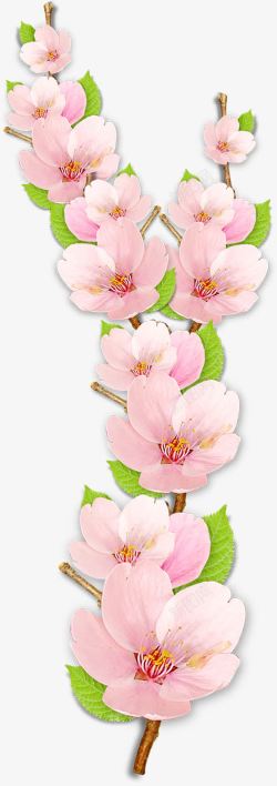粉色花朵桃花创意素材