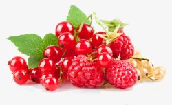 新鲜树莓水果素材