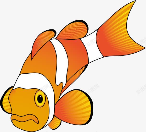 卡通小鱼png免抠素材_88icon https://88icon.com 卡通动物 卡通小鱼 水中生物 海洋生物 生物世界 鱼 鱼儿 鱼类