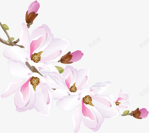手绘白色花朵花瓣png免抠素材_88icon https://88icon.com 唯美 小清新 手绘花苞 水彩 白色花朵 粉色花瓣