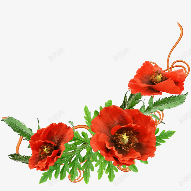 红色花卉装饰图案png免抠素材_88icon https://88icon.com 小清新 红色 花卉 装饰图案
