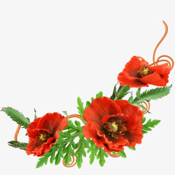 红色花卉装饰图案素材