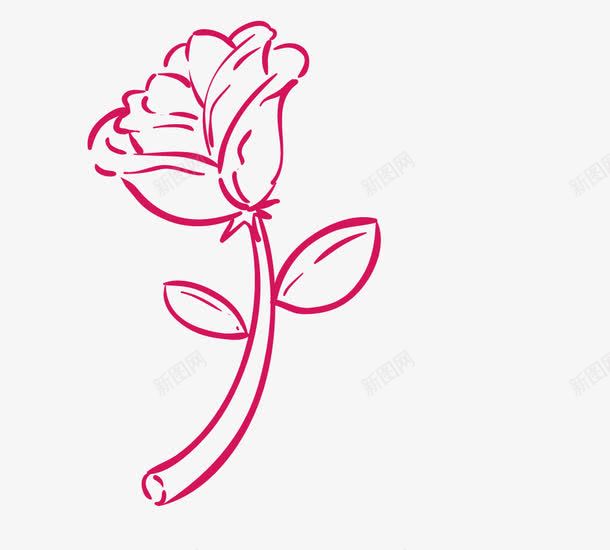 粉色线条玫瑰png免抠素材_88icon https://88icon.com 粉色线条玫瑰