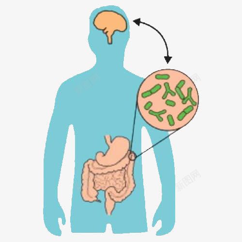 肠道png免抠素材_88icon https://88icon.com 人体 出的 卡通肠道 卡通肠道设计 手绘 手绘肠道设计 细菌 脑袋 蓝色人体