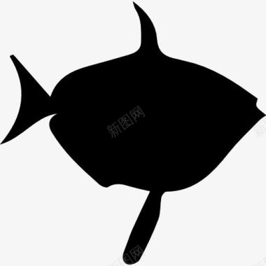 海龟的动物王国月鱼鱼形图标图标