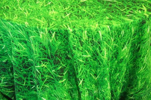 茂盛的草背景jpg设计背景_88icon https://88icon.com 图片素材 底纹背景 植物 绿油油 背景 背景花边 茂盛 茂盛的草背景图片 茂盛的草背景图片素材下载 草地 青草地