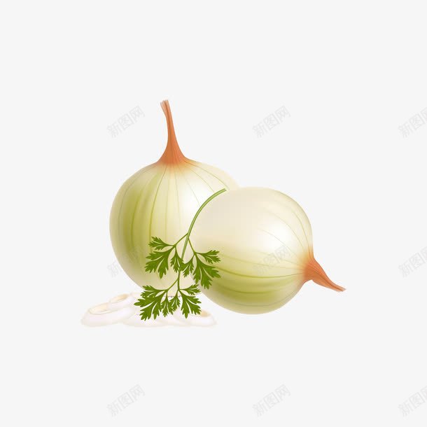 拟物蔬菜png免抠素材_88icon https://88icon.com 两个 洋葱 白色