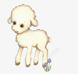 可爱羊羔可爱小羊羔高清图片