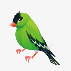 绿色可爱小雏鸟装饰矢量图素材