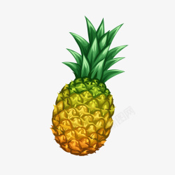 卡通菠萝水果素材