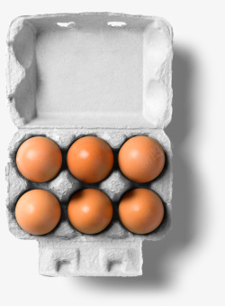 食物营养每日必需鸡蛋素材