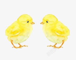 黄色的小鸡素材