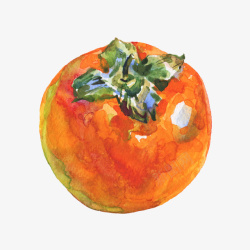 成熟柿子水彩插画素材