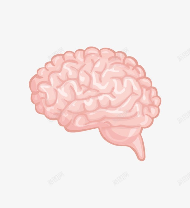 人体大脑矢量图ai免抠素材_88icon https://88icon.com 大脑 思考 智力 源文件 矢量图