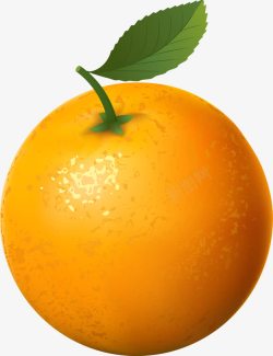 橙子新鲜香橙橘子矢量图素材