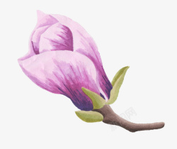 手绘水彩绘画立体紫色花卉素材