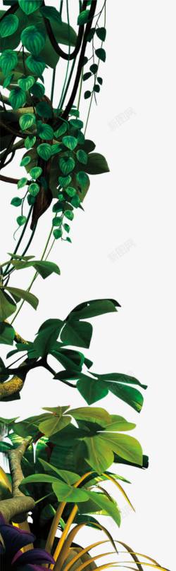 叶子图深绿色叶子图素材