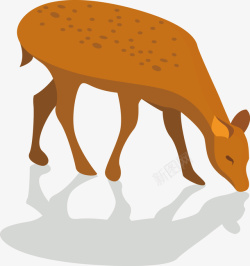喝水的小鹿精美的小鹿喝水剪影高清图片