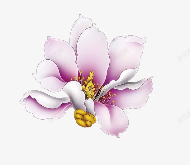 粉色玉兰花png免抠素材_88icon https://88icon.com 彩雕 玉兰花 立体 粉色