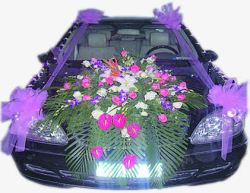 紫色彩带花朵装扮婚车素材