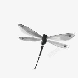 水墨蜻蜓黑白装饰素材