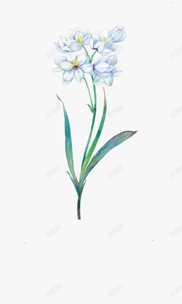 唯美手绘鲜花png免抠素材_88icon https://88icon.com 卡通 手绘 手绘插画 插画 花卉 鲜花