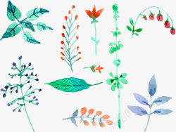 手绘水彩植物矢量图素材