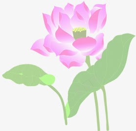 清新荷花美景树叶png免抠素材_88icon https://88icon.com 树叶 清新 美景 荷花