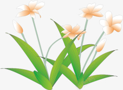 ai手绘花元素花朵素材