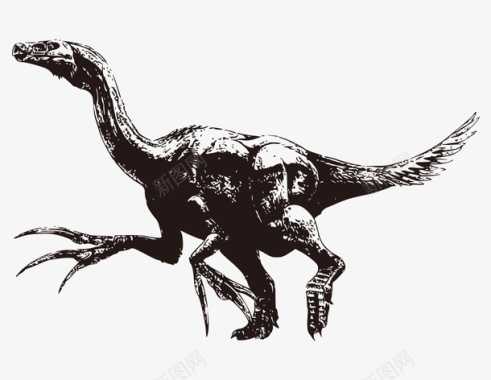 恐龙动物头骨手绘黑白凶猛恐龙矢量图图标图标