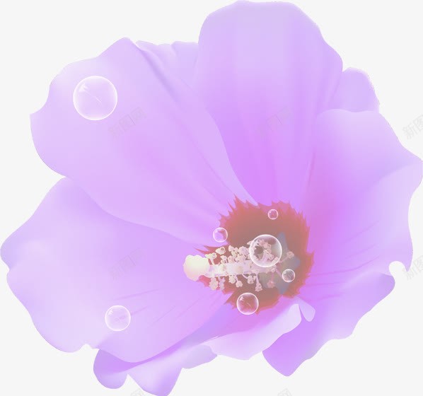 紫色梦幻花朵泡泡png免抠素材_88icon https://88icon.com 梦幻 泡泡 紫色 花朵