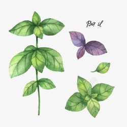 紫绿色水彩植物矢量图素材