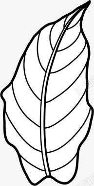 手绘叶子边框手绘线条树叶叶子图标图标