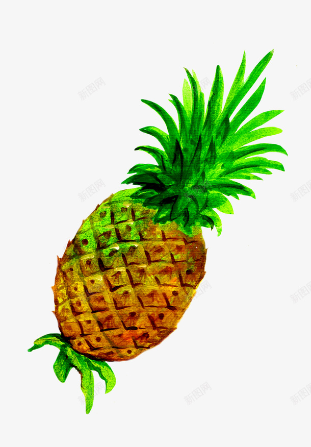 一棵菠萝png免抠素材_88icon https://88icon.com 一棵 卡通 手绘 水果 绿色的 菠萝 菠萝缨 黄色的