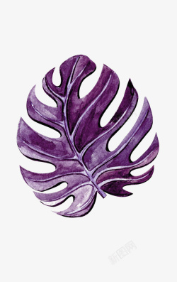 紫色手绘的橄榄叶子素材