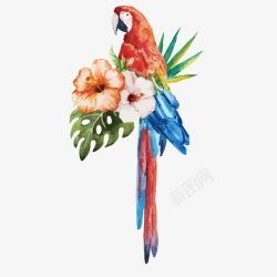 彩色水墨手绘鹦鹉花朵矢量图素材
