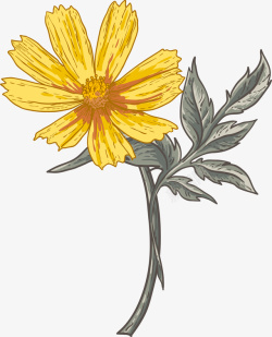手绘黄色花朵花瓣素材